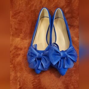 Beautiful Blue Pointed Toe Women’s Flats